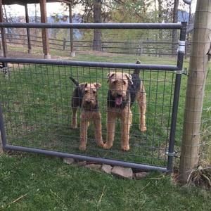 Meet your Posher, Pat horton